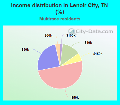 Income distribution in Lenoir City, TN (%)