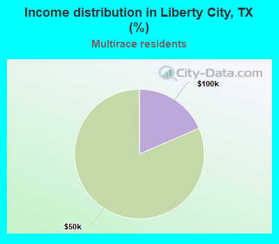 Income distribution in Liberty City, TX (%)