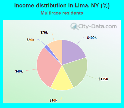 Income distribution in Lima, NY (%)