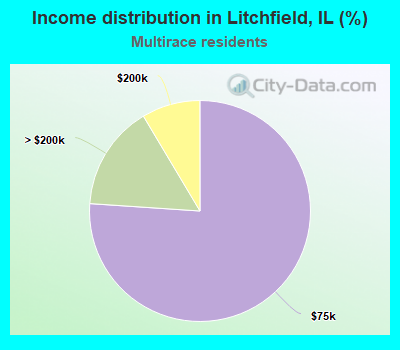 Income distribution in Litchfield, IL (%)