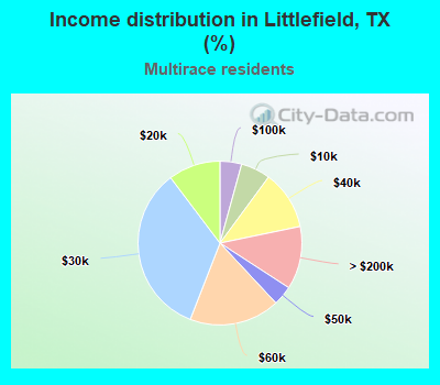 Income distribution in Littlefield, TX (%)