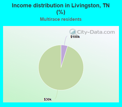Income distribution in Livingston, TN (%)