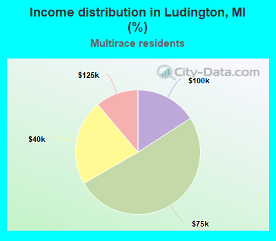 Income distribution in Ludington, MI (%)