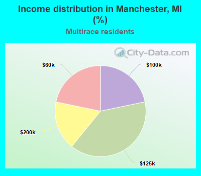 Income distribution in Manchester, MI (%)