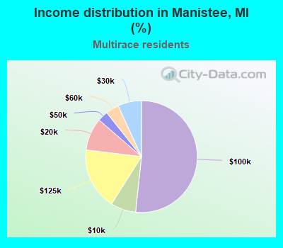 Income distribution in Manistee, MI (%)