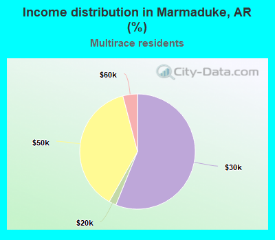 Income distribution in Marmaduke, AR (%)