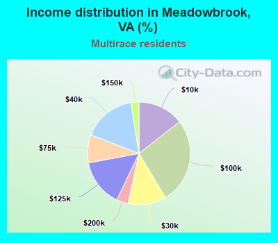 Income distribution in Meadowbrook, VA (%)