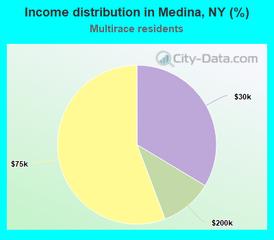 Income distribution in Medina, NY (%)