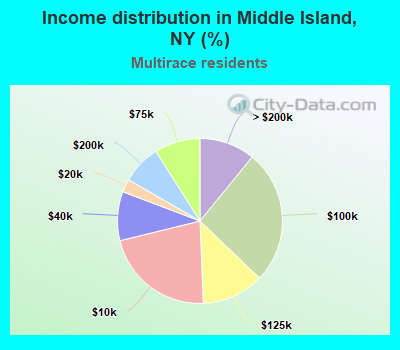 Income distribution in Middle Island, NY (%)