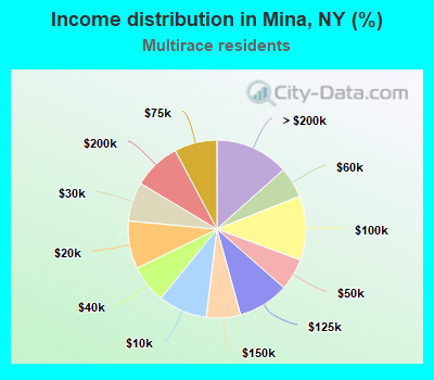 Income distribution in Mina, NY (%)
