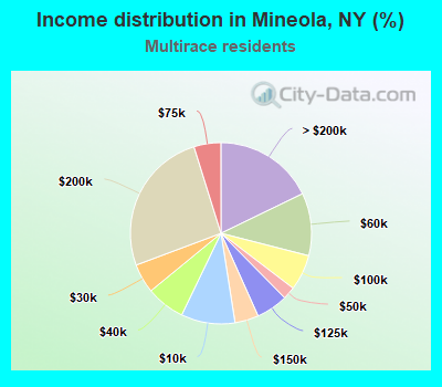 Income distribution in Mineola, NY (%)