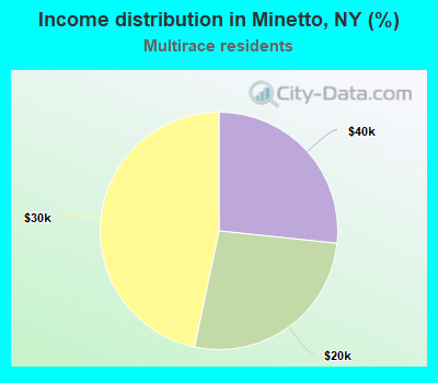 Income distribution in Minetto, NY (%)