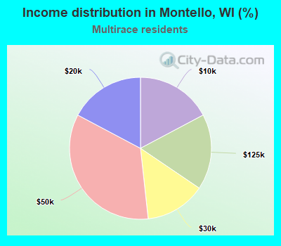 Income distribution in Montello, WI (%)