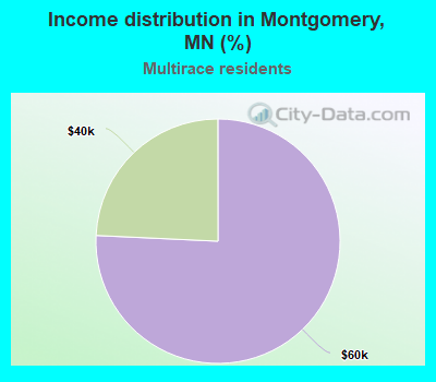 Income distribution in Montgomery, MN (%)