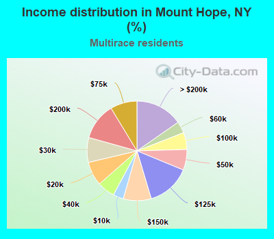Income distribution in Mount Hope, NY (%)