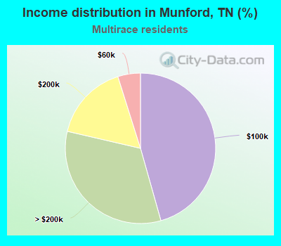 Income distribution in Munford, TN (%)