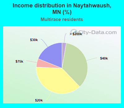 Income distribution in Naytahwaush, MN (%)