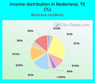 Income distribution in Nederland, TX (%)