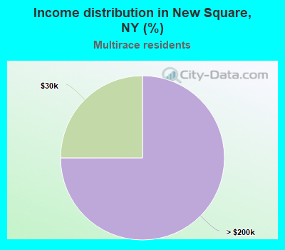 Income distribution in New Square, NY (%)