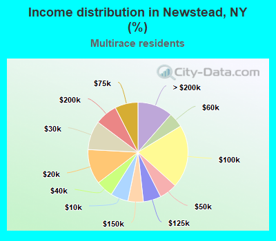 Income distribution in Newstead, NY (%)