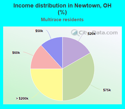 Income distribution in Newtown, OH (%)