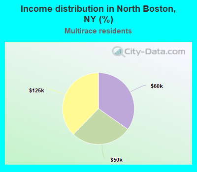 Income distribution in North Boston, NY (%)