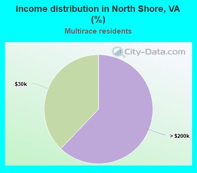 Income distribution in North Shore, VA (%)