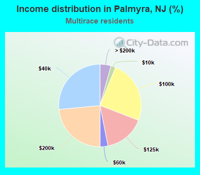 Income distribution in Palmyra, NJ (%)