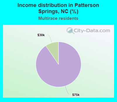 Income distribution in Patterson Springs, NC (%)