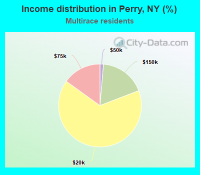 Income distribution in Perry, NY (%)