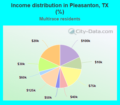 Income distribution in Pleasanton, TX (%)