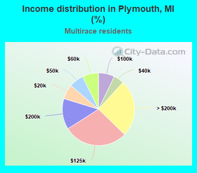 Income distribution in Plymouth, MI (%)