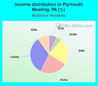 Income distribution in Plymouth Meeting, PA (%)