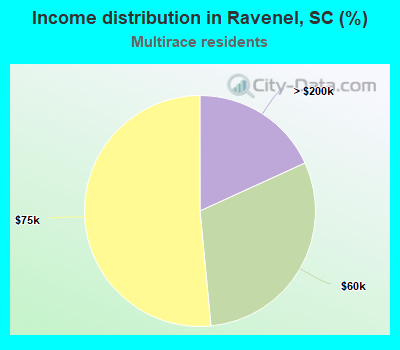 Income distribution in Ravenel, SC (%)
