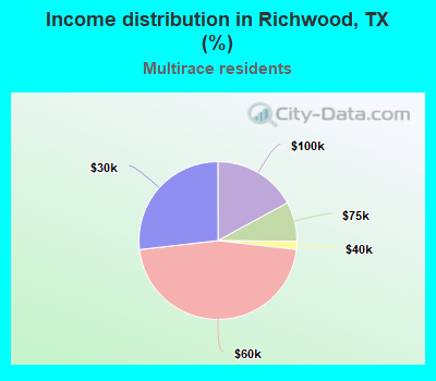 Income distribution in Richwood, TX (%)