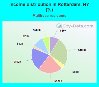 Income distribution in Rotterdam, NY (%)