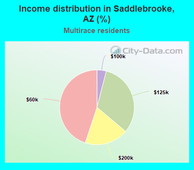 Income distribution in Saddlebrooke, AZ (%)
