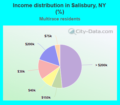 Income distribution in Salisbury, NY (%)