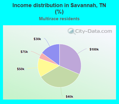 Income distribution in Savannah, TN (%)