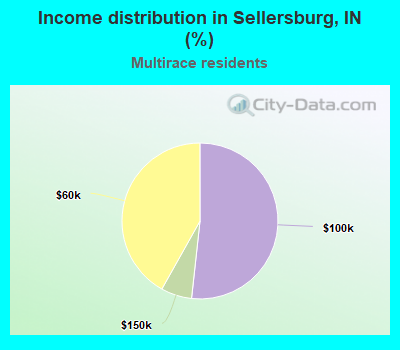 Income distribution in Sellersburg, IN (%)
