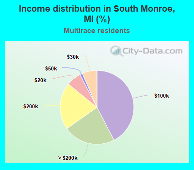 Income distribution in South Monroe, MI (%)