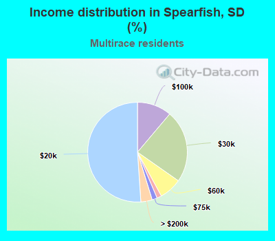 Income distribution in Spearfish, SD (%)