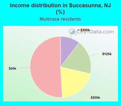 Income distribution in Succasunna, NJ (%)