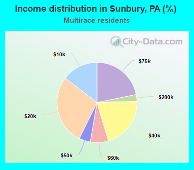 Income distribution in Sunbury, PA (%)