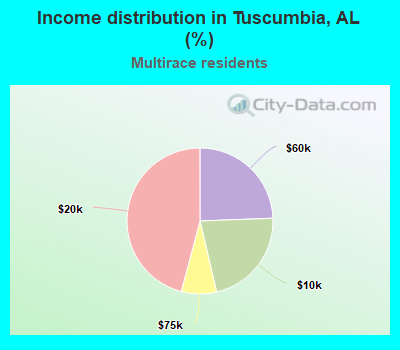 Income distribution in Tuscumbia, AL (%)
