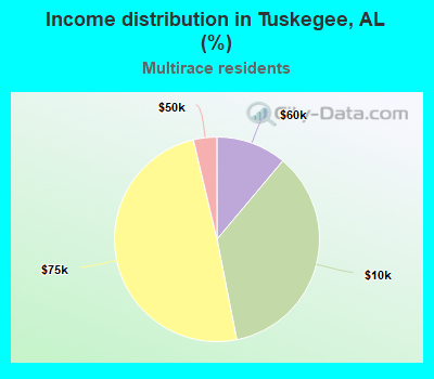 Income distribution in Tuskegee, AL (%)