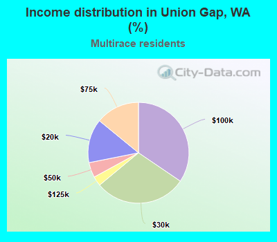 Income distribution in Union Gap, WA (%)