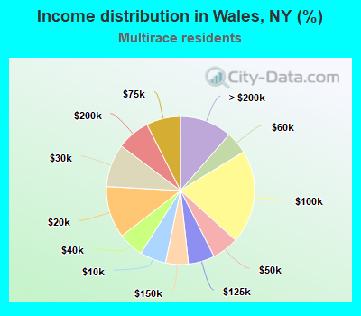 Income distribution in Wales, NY (%)