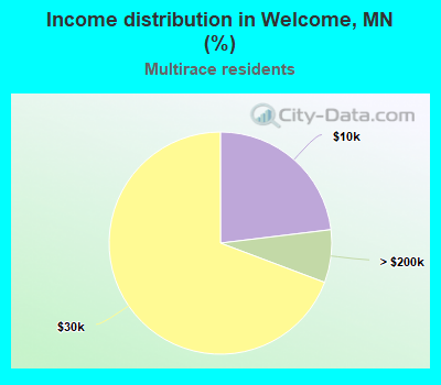 Income distribution in Welcome, MN (%)