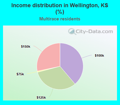 Income distribution in Wellington, KS (%)
